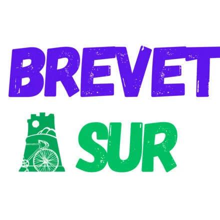 Imagen del evento Brevet 200: Los Puentes de Valdivia 2026