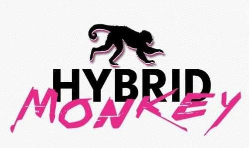 Imagen del evento HYBRID MONKEY VI - Sexta Edición